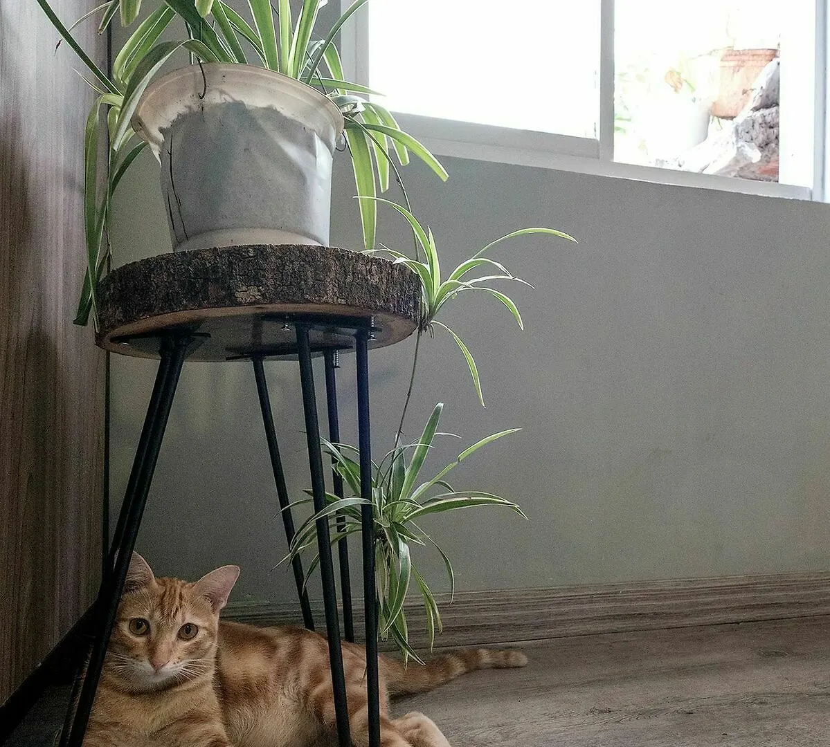 Saigon Inner Home Ho Chi Minh City Hostel
